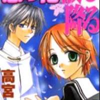   Koi no Hana Chiru Furu <small>Story & Art</small> 